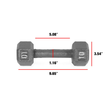 Barbell Cast Iron Dumbbell Weights, 10 Lbs., Pair