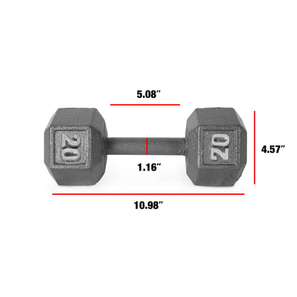 Barbell Cast Iron Dumbbell Weights, 20 Lbs., Pair
