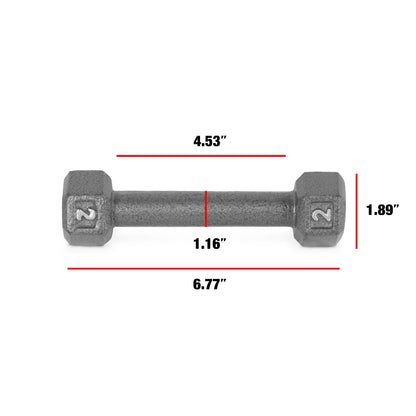 Barbell Cast Iron Dumbbell Weights, 2 Lbs. Pair